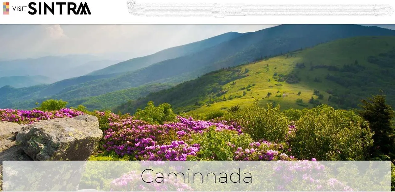 Homestay Sintra Lousa Portugal